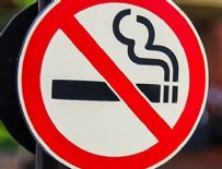 İSKOÇYA - Özel araçta da sigara içmek yasak