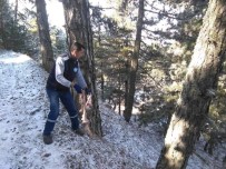 ELVERİŞSİZ HAVA - Yaban Hayvanları İçin İşbirliği