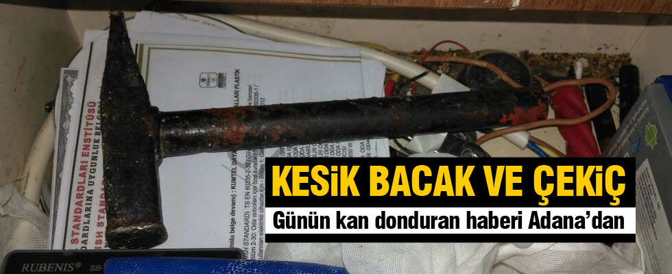 Kesik bacaktan 'çekiçli' vahşet çıktı