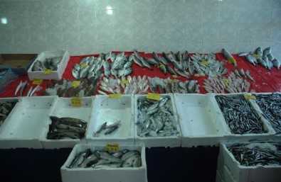 Van'da Balık Tezgahları Boş Kaldı