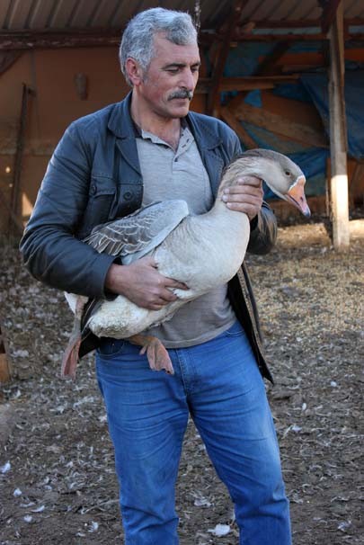 Arkadaşı 2 tane hediye etti! Şimdi hem çiftliği hem lokantası var...