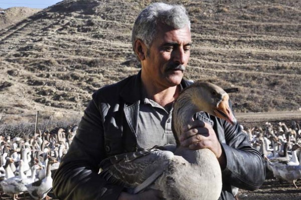 Arkadaşı 2 tane hediye etti! Şimdi hem çiftliği hem lokantası var...