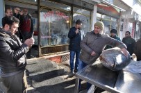 ORKİNOS - Kars'ta 250 Kiloluk Dev Orkinos İlgi Odağı Oldu