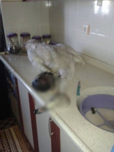 'Keskin Nişancı'ya Para Cezası