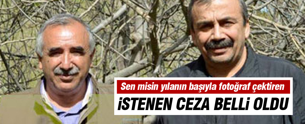 Sırrı Süreyya Önder'e 40 yıl hapis istemi