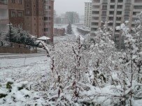 GÖLÇAYıR - Trabzon'da Kar Yüksek Kesimlerde Etkili Oluyor