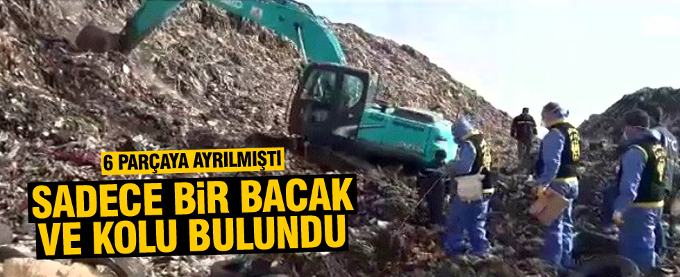 Vahşice öldürülen kadının uzuvları aranıyor