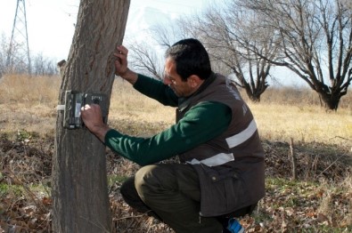 Yaban Hayvanları Foto Kapanla Kaydedilecek