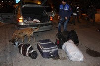 Amasya'da 260 Polisle Huzur Operasyonu
