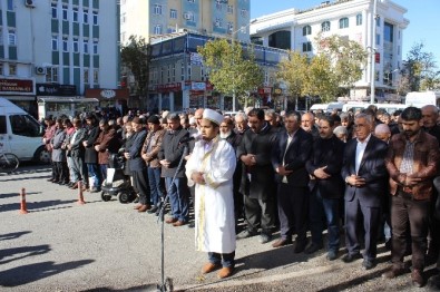 Halep'te Ölenler İçin Gıyabi Cenaze Namazı Kılındı