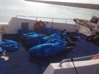 BADEMLI - Bursa'da Hastane Morglarında Yer Kalmadı