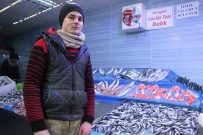 LODOS - Talep Çok Olunca Balığın Azlığı Fiyatlara Yansıdı