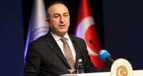 Bakan Çavuşoğlu Açıklaması '698 DAEŞ Üyesi Tutuklandı'
