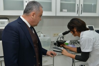 Başkan Böcek, Hayvan Barınağında İncelemelerde Bulundu