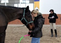 TÜRKIYE BINICILIK FEDERASYONU - Engeller Atlarla Aşılacak