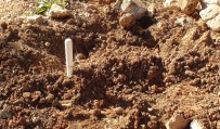 CENİN - Mezarlık Yanına Gömülen Köpek Yavrusu Polisi Alarma Geçirdi
