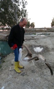 Pelikan 'Turan' İle Sahibinin Dostluğu Kıskandırıyor