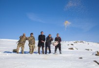 BÜLENT TEKBıYıKOĞLU - Ahlat'ta Doğaya Yem Bırakıldı