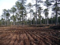 Orman Ve Su İşleri Bakanlığı Antalya Çalışmaları