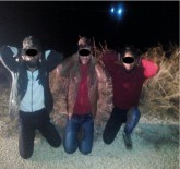 TSK Açıklaması 'Cizre Ve Sur'da 11 Terörist Öldürüldü'