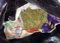 Antalya'da Esrara Şafak Baskını