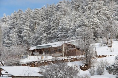 Coreker Yaylasında Kış Başka Güzel