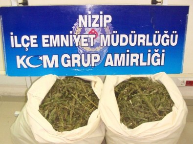 Nizip'te 15 Kilo Esrar Ele Geçirildi