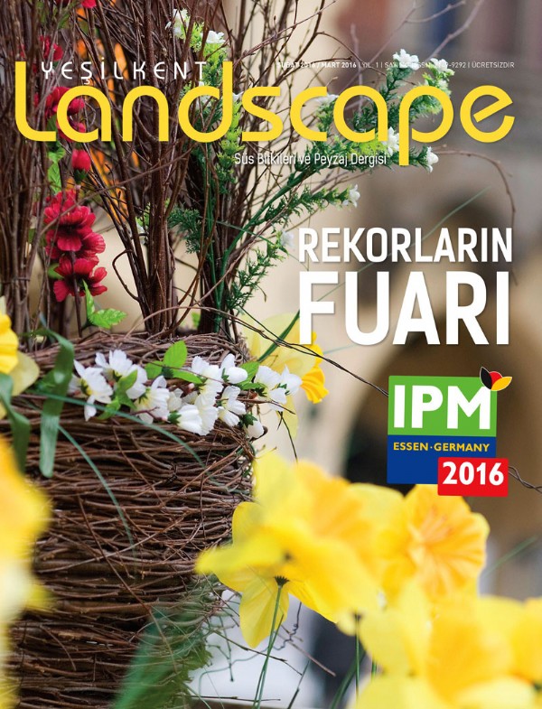 Almanya Ankara’ya geldi