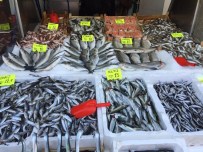 BALIK FİYATLARI - Batı Karadenizde Balık Fiyatları Düştü