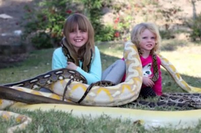 Çocukların 5 metrelik Piton yılanı ile tehlikeli oyunu