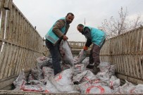 Eyyübiye Belediyesinden 12 Bin Aileye Yardım