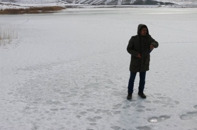 Sivas'ın Kuş Cenneti Tödürge Gölü Dondu