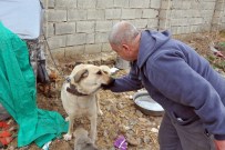 MUHABBET KUŞU - Kendini Sokak Hayvanlarına Adayan Emekli Polis