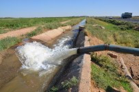 300 Liralık Kazanç İçin 3 Bin Liralık Elektrik Harcanıyor