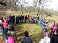 40 Kişilik Gönüllü Grubu, Çocukları Zeytinpark' La Buluşturacak