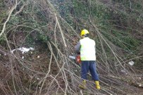 Gölyaka'da Ormanda Çalışma