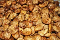 İncir Üreticileri Yeni Dönemden Umutlu