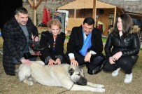 Keçiören Belediyesi'nden Sokak Hayvanlarına Kuru Mama