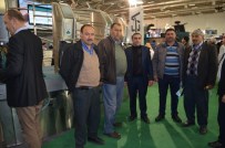 TARIM VE HAYVANCILIK FUARI - Kulalı 300 Süt Üreticisi Fuara Katıldı