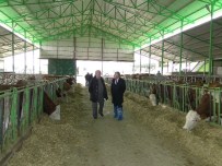 Malatya'da Hayvancılık Desteklemelerine Devam