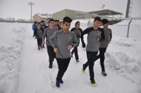 Muşlu Sporcuların Başarısı