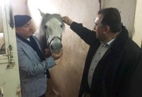 Şükrü Nazlı Açıklaması Ata Sporumuz Atçılığı Kütahya'da Da Yaşatıyor Olmamız Beni Mutlu Etti