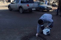 40 Gün Etkili İlaç Çankaya'da