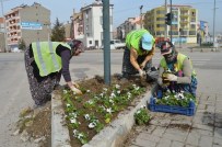 50 Bin Menekşe Toprakla Buluşuyor
