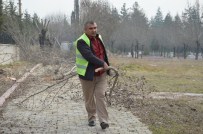 Asri Mezarlık'ta Ağaç Budama Çalışması