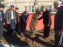 REHBER ÖĞRETMEN - 'Bir Ağaç, Bin Umut' Fidan Dikim Kampanyası