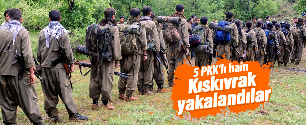 5 PKK'lı hain kıskıvrak yakalandı
