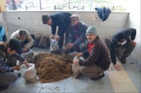 KAYAPA - İvrindi'de Çiftçiler Mantar Üreticisi Olacak