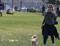 Son yılların en sıcak Şubat'ı