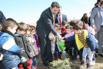 Tokat'ta '20 Bin Fidan 20 Bin Can' Projesi